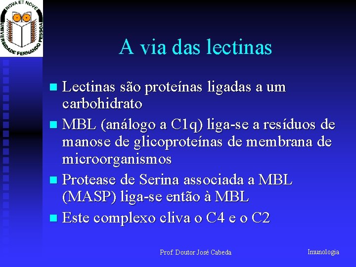 A via das lectinas Lectinas são proteínas ligadas a um carbohidrato n MBL (análogo