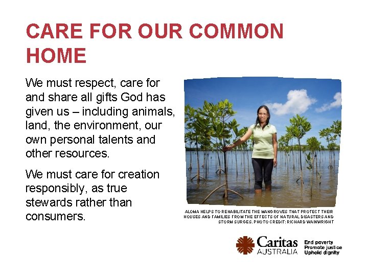 CARE FOR OUR COMMON HOME We must respect, care for and share all gifts