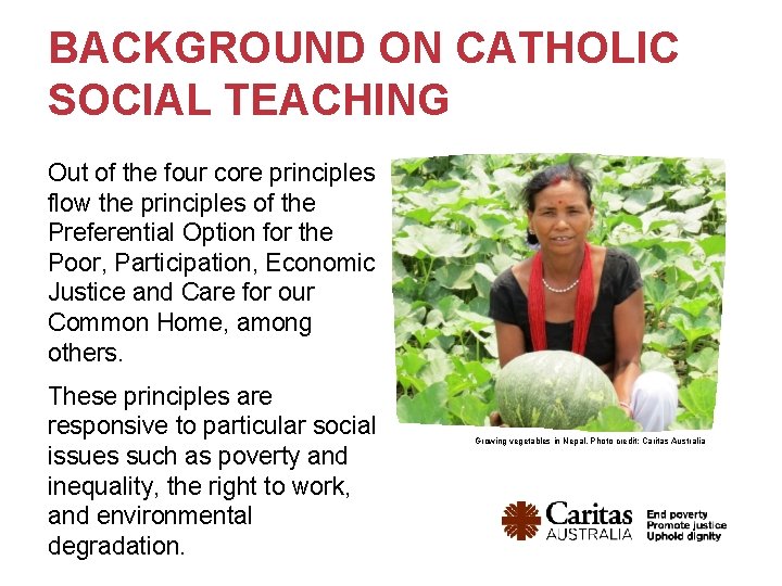 BACKGROUND ON CATHOLIC SOCIAL TEACHING Out of the four core principles flow the principles