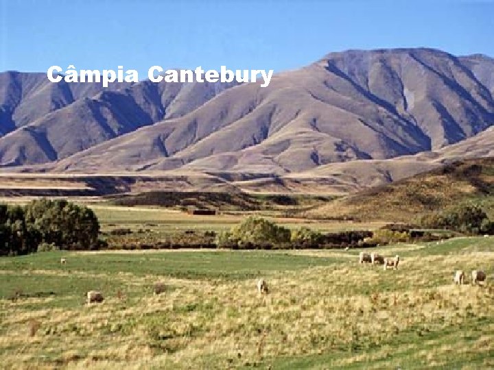 Câmpia Cantebury 