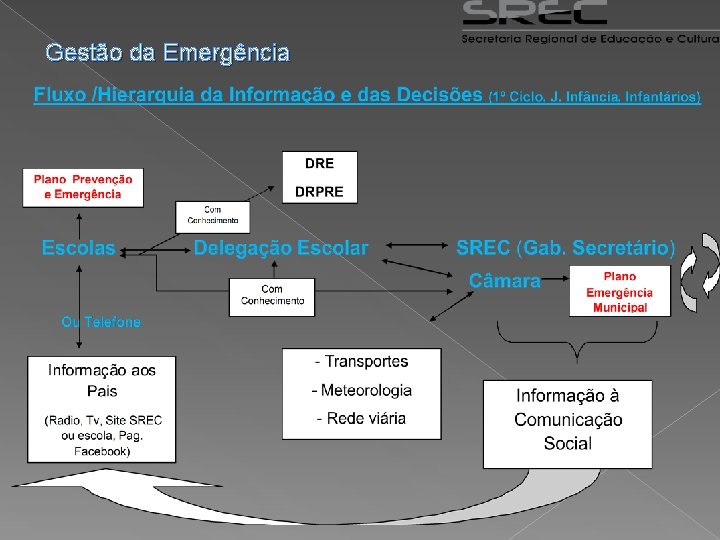 Gestão da Emergência 