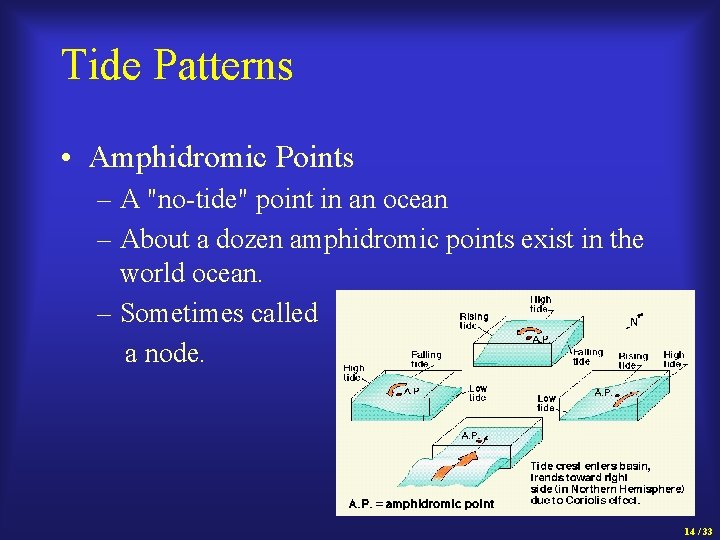 Tide Patterns • Amphidromic Points – A "no-tide" point in an ocean – About