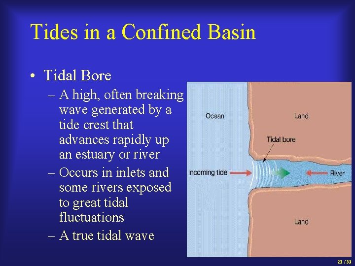 Tides in a Confined Basin • Tidal Bore – A high, often breaking wave