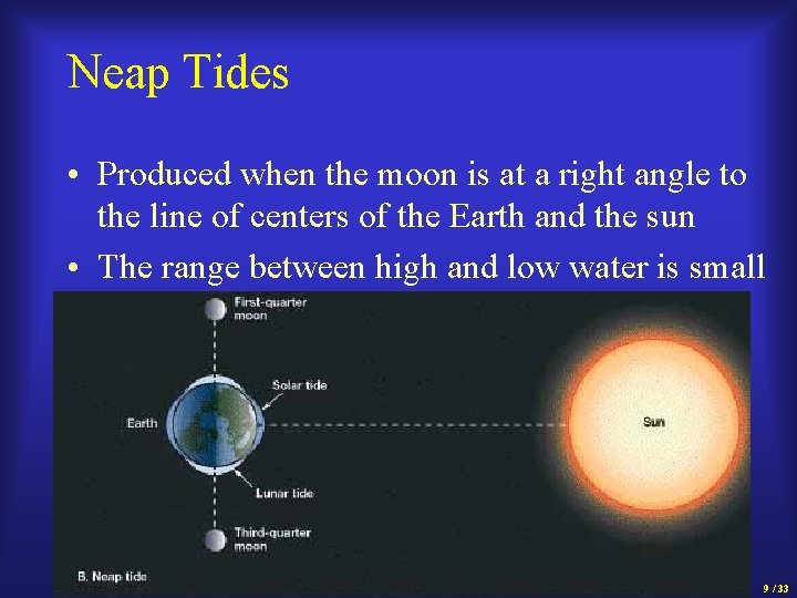 Neap Tides • Produced when the moon is at a right angle to the