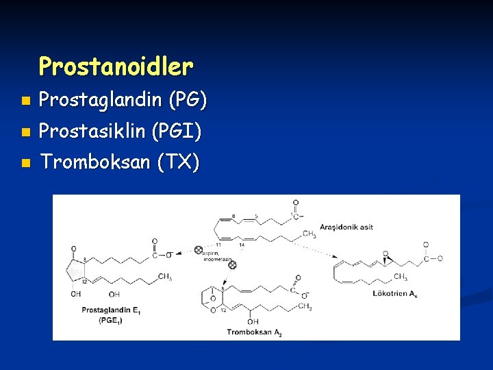 Prostanoidler n Prostaglandin (PG) n Prostasiklin (PGI) n Tromboksan (TX) 