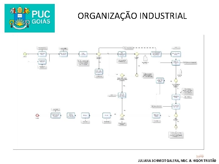 ORGANIZAÇÃO INDUSTRIAL JULIANA SCHMIDT GALERA, MSC. & HIGOR TRISTÃ0 