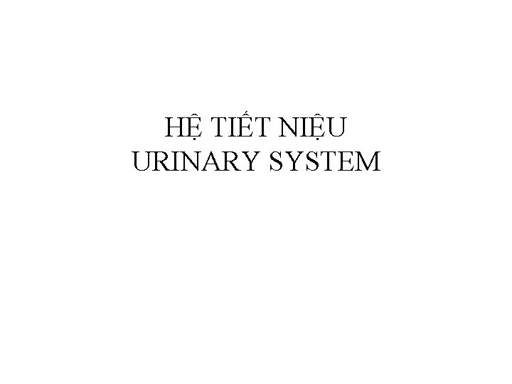 HỆ TIẾT NIỆU URINARY SYSTEM 