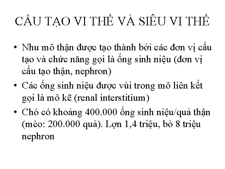 CẤU TẠO VI THỂ VÀ SIÊU VI THỂ • Nhu mô thận được tạo