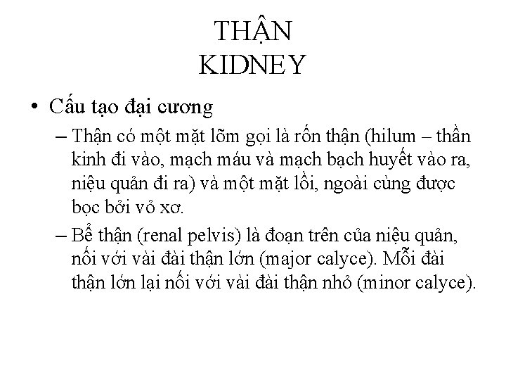 THẬN KIDNEY • Cấu tạo đại cương – Thận có một mặt lõm gọi