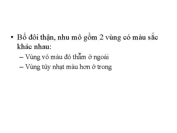  • Bổ đôi thận, nhu mô gồm 2 vùng có màu sắc khác