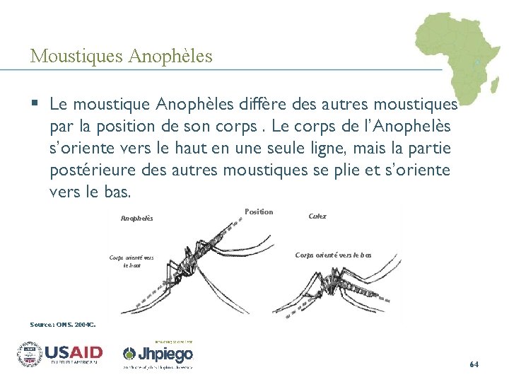 Moustiques Anophèles § Le moustique Anophèles diffère des autres moustiques par la position de