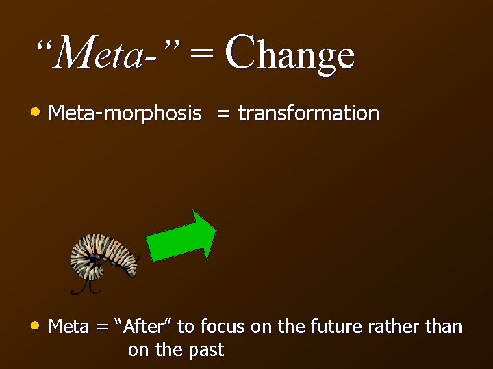 “Meta-” = Change • Meta-morphosis = transformation • Meta = “After” to focus on
