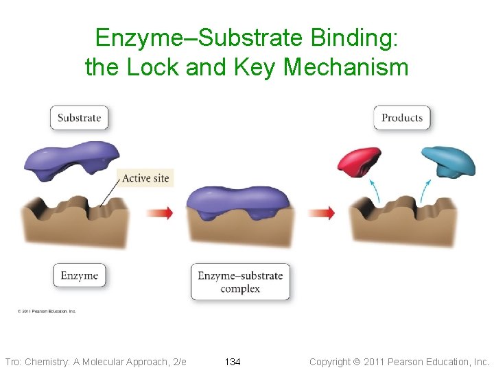 Enzyme–Substrate Binding: the Lock and Key Mechanism Tro: Chemistry: A Molecular Approach, 2/e 134