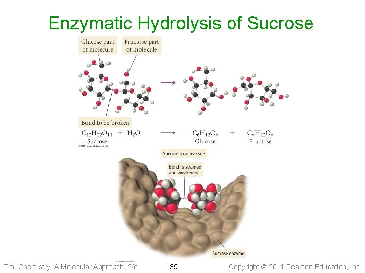 Enzymatic Hydrolysis of Sucrose Tro: Chemistry: A Molecular Approach, 2/e 135 Copyright 2011 Pearson