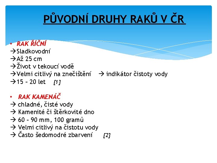 PŮVODNÍ DRUHY RAKŮ V ČR • RAK ŘÍČNÍ Sladkovodní Až 25 cm Život v