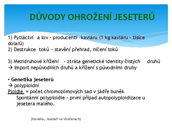 DŮVODY OHROŽENÍ JESETERŮ 1) Pytláctví a lov – producenti kaviáru (1 kg kaviáru –