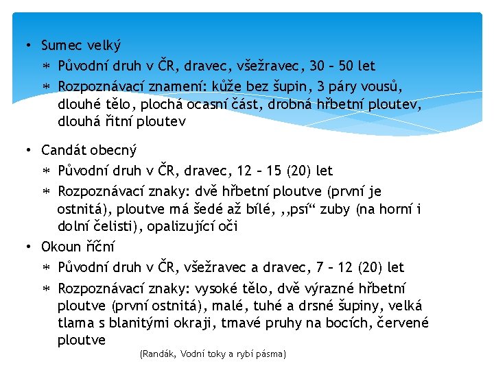  • Sumec velký Původní druh v ČR, dravec, všežravec, 30 – 50 let