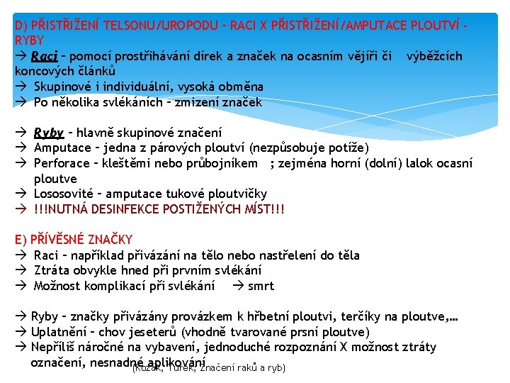 D) PŘISTŘIŽENÍ TELSONU/UROPODU – RACI X PŘISTŘIŽENÍ/AMPUTACE PLOUTVÍ RYBY Raci – pomocí prostřihávání dírek