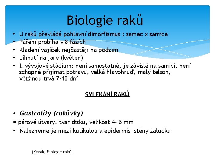 Biologie raků • • • U raků převládá pohlavní dimorfismus : samec x samice