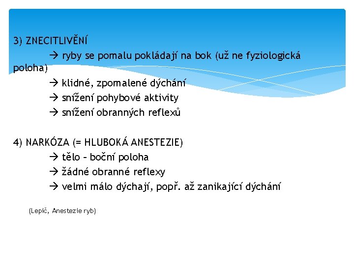 3) ZNECITLIVĚNÍ ryby se pomalu pokládají na bok (už ne fyziologická poloha) klidné, zpomalené