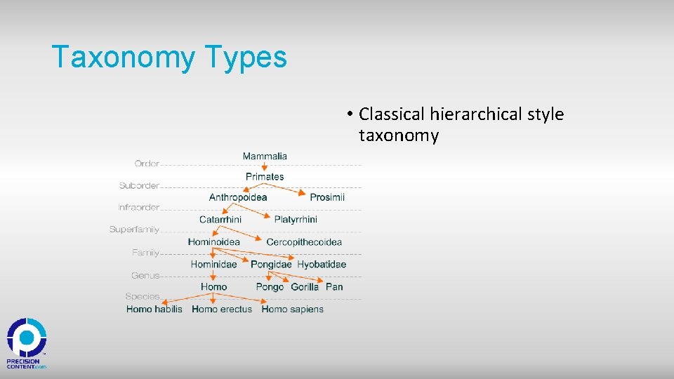 Taxonomy Types • Classical hierarchical style taxonomy 