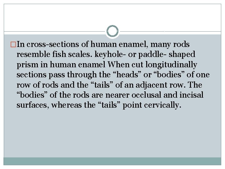 �In cross-sections of human enamel, many rods resemble fish scales. keyhole- or paddle- shaped �In cross-sections of human enamel, many rods resemble fish scales. keyhole- or paddle- shaped
