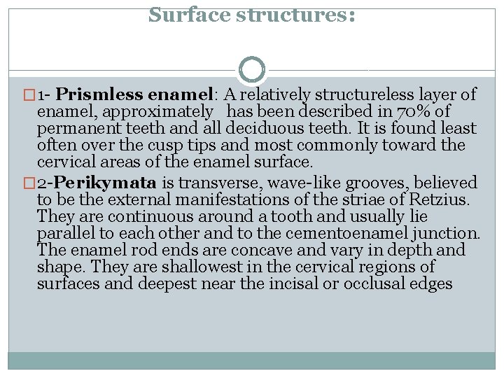 Surface structures: � 1 - Prismless enamel: A relatively structureless layer of enamel, approximately Surface structures: � 1 - Prismless enamel: A relatively structureless layer of enamel, approximately
