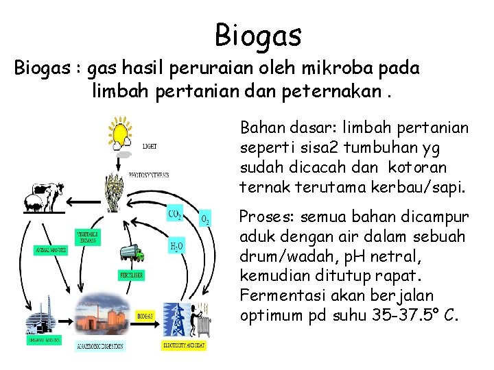 Biogas : gas hasil peruraian oleh mikroba pada limbah pertanian dan peternakan. Bahan dasar: