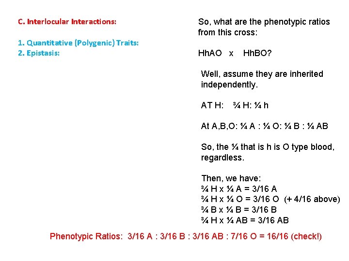 C. Interlocular Interactions: 1. Quantitative (Polygenic) Traits: 2. Epistasis: So, what are the phenotypic