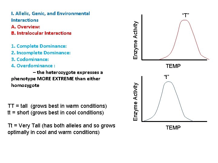 TT = tall (grows best in warm conditions) tt = short (grows best in