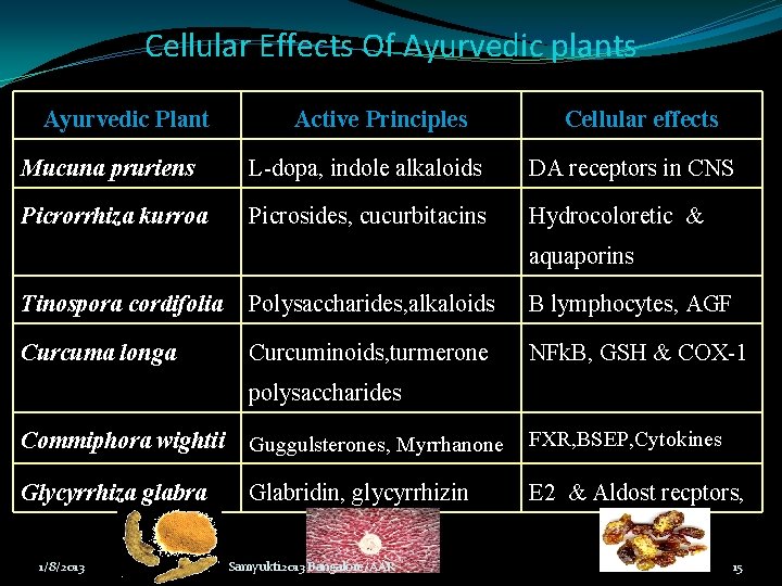 Cellular Effects Of Ayurvedic plants Ayurvedic Plant Active Principles Cellular effects Mucuna pruriens L-dopa, Cellular Effects Of Ayurvedic plants Ayurvedic Plant Active Principles Cellular effects Mucuna pruriens L-dopa,