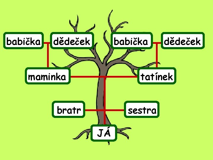 babička dědeček babička maminka dědeček tatínek bratr sestra JÁ 