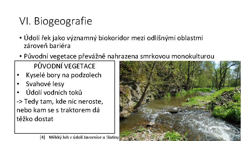 VI. Biogeografie • Údolí řek jako významný biokoridor mezi odlišnými oblastmi zároveň bariéra •