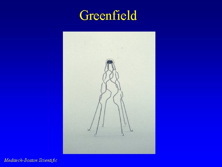Greenfield Meditech-Boston Scientific 