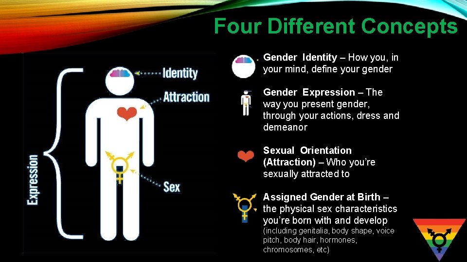 Four Different Concepts Gender Identity – How you, in your mind, define your gender