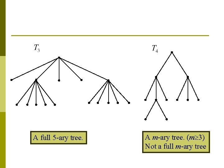 A full 5 -ary tree. A m-ary tree. (m 3) Not a full m-ary