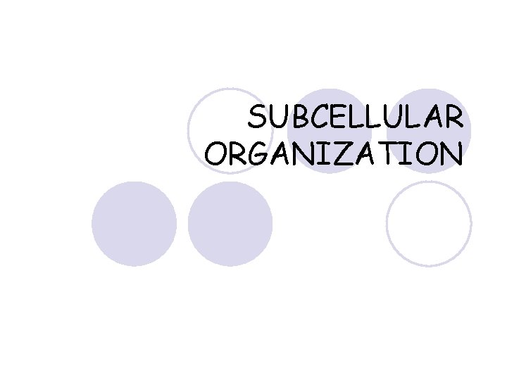 SUBCELLULAR ORGANIZATION 