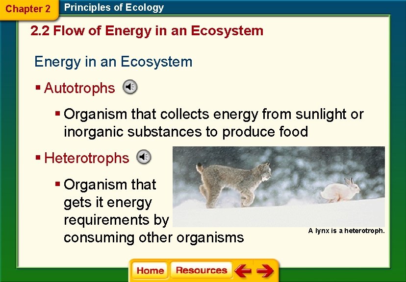 Chapter 2 Principles of Ecology 2. 2 Flow of Energy in an Ecosystem §