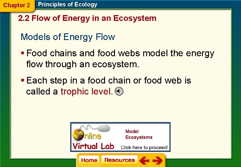 Chapter 2 Principles of Ecology 2. 2 Flow of Energy in an Ecosystem Models