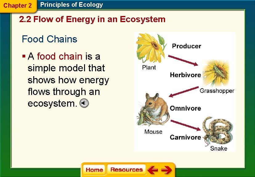 Chapter 2 Principles of Ecology 2. 2 Flow of Energy in an Ecosystem Food