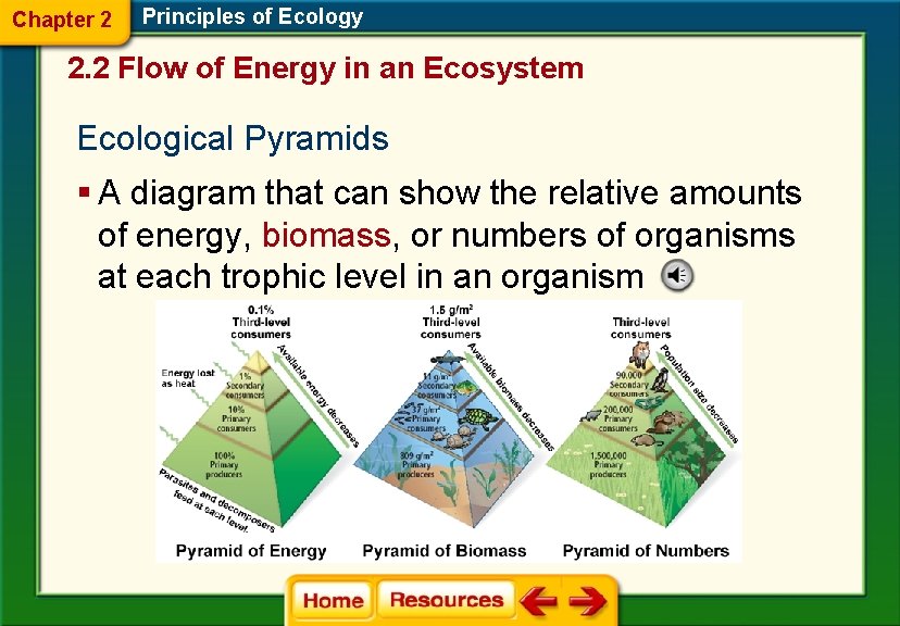 Chapter 2 Principles of Ecology 2. 2 Flow of Energy in an Ecosystem Ecological