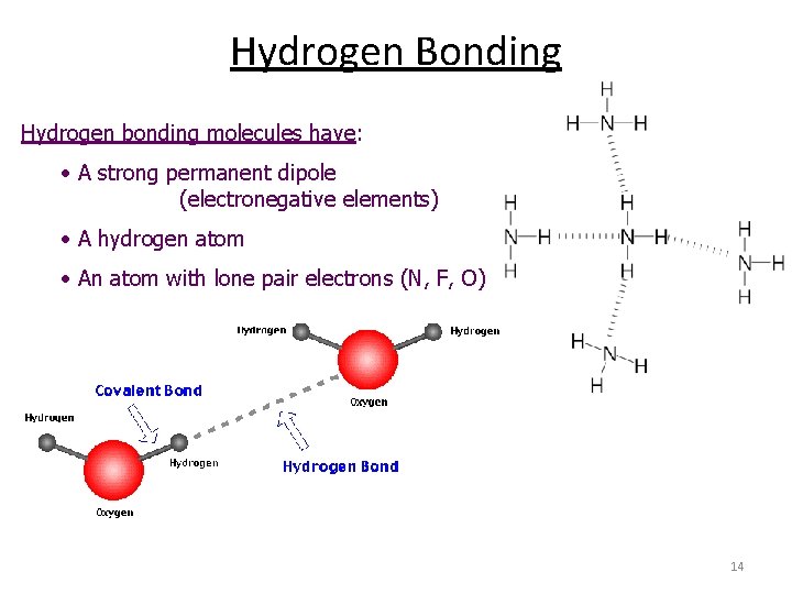 Hydrogen Bonding Hydrogen bonding molecules have: • A strong permanent dipole (electronegative elements) •