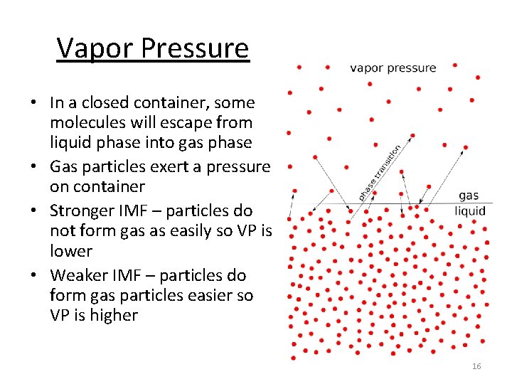 Vapor Pressure • In a closed container, some molecules will escape from liquid phase