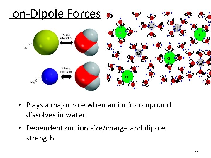 Ion-Dipole Forces • Plays a major role when an ionic compound dissolves in water.