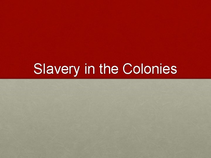 Slavery in the Colonies 