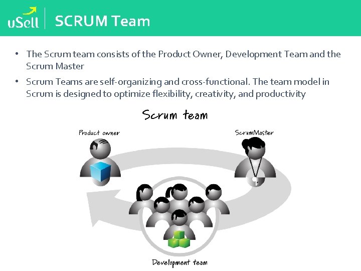 SCRUM Team • The Scrum team consists of the Product Owner, Development Team and