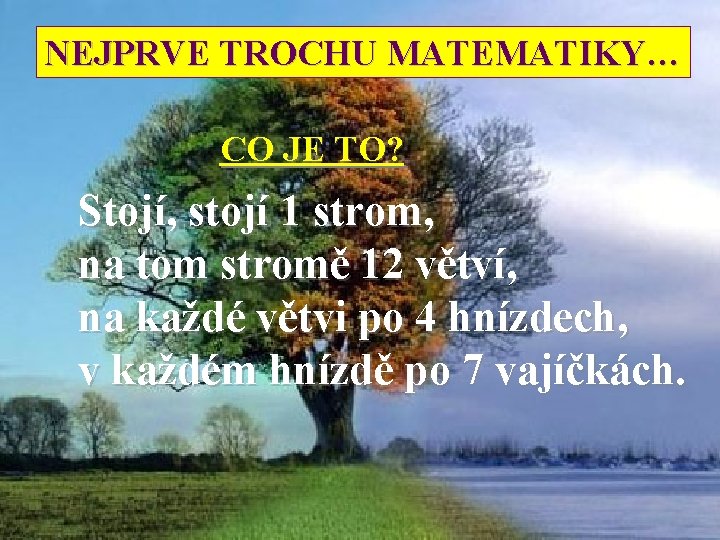 NEJPRVE TROCHU MATEMATIKY… CO JE TO? Stojí, stojí 1 strom, na tom stromě 12