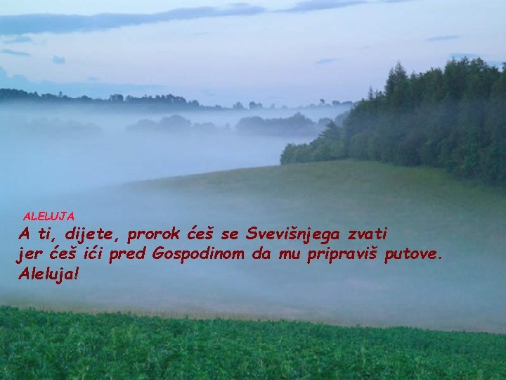 ALELUJA A ti, dijete, prorok ćeš se Svevišnjega zvati jer ćeš ići pred Gospodinom