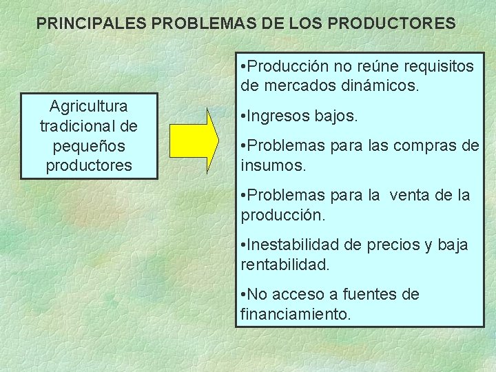 PRINCIPALES PROBLEMAS DE LOS PRODUCTORES • Producción no reúne requisitos de mercados dinámicos. Agricultura