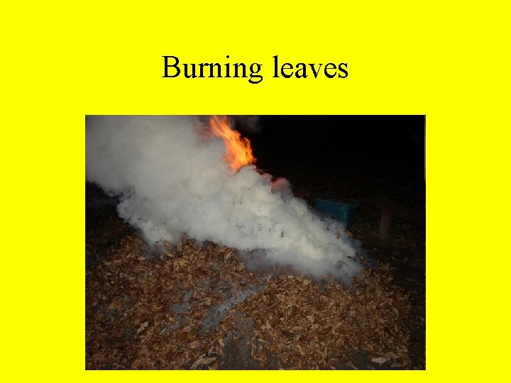 Burning leaves 